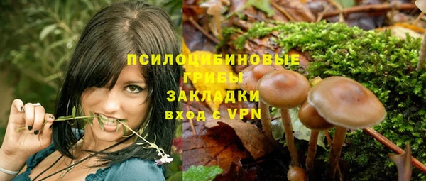 тгк Арсеньев