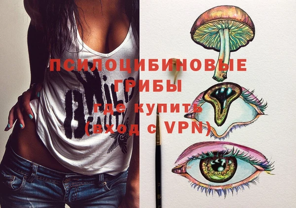 тгк Арсеньев